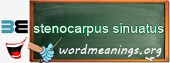 WordMeaning blackboard for stenocarpus sinuatus